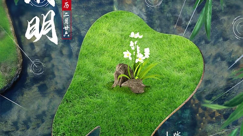 隐形牙套材质之争：从实验室到口腔的进化史